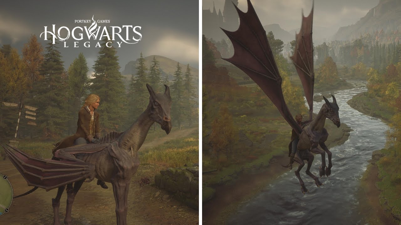 Hogwarts Legacy Thestral Mount Gameplay