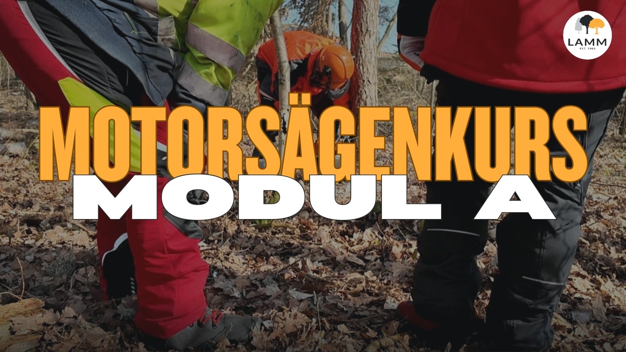 Motorsägenkurs Modul A – Der erste Schritt zur sicheren Waldarbeit 🌲🪚