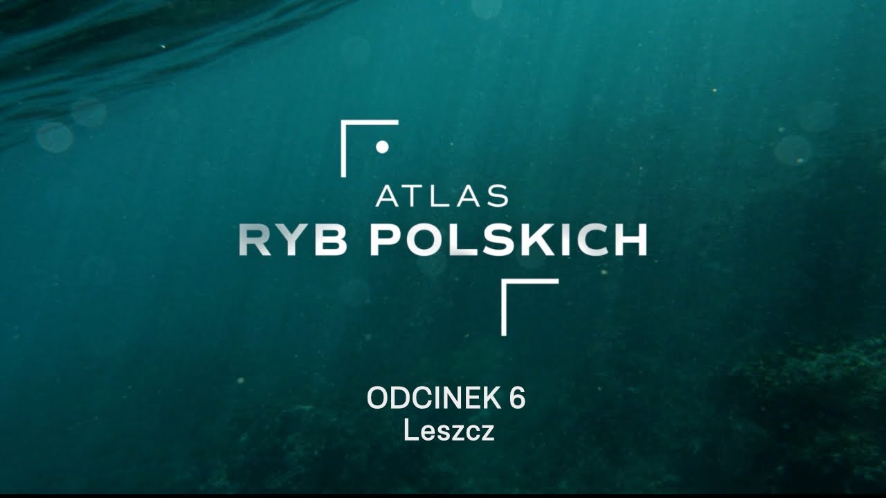 Atlas Ryb Polskich Odc. 6 - Leszcz