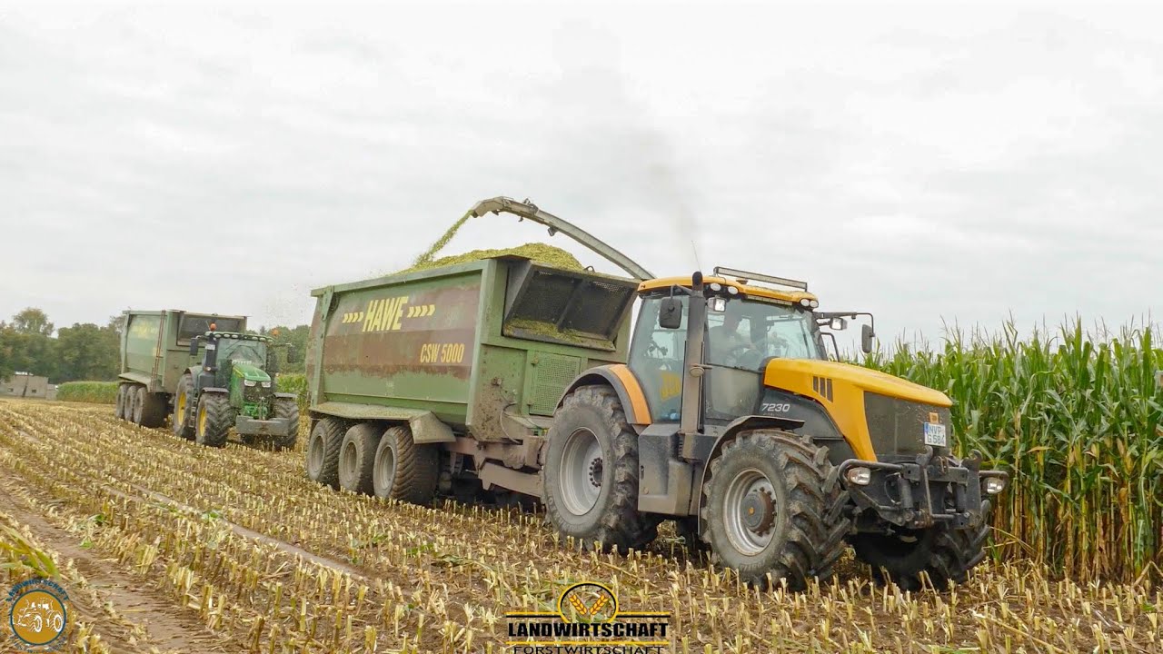 Bohr hat der JCB ein Krassen Sound! Maisernte by @Landwirtinmv Landwirtschaft Mais Kampagne 2021
