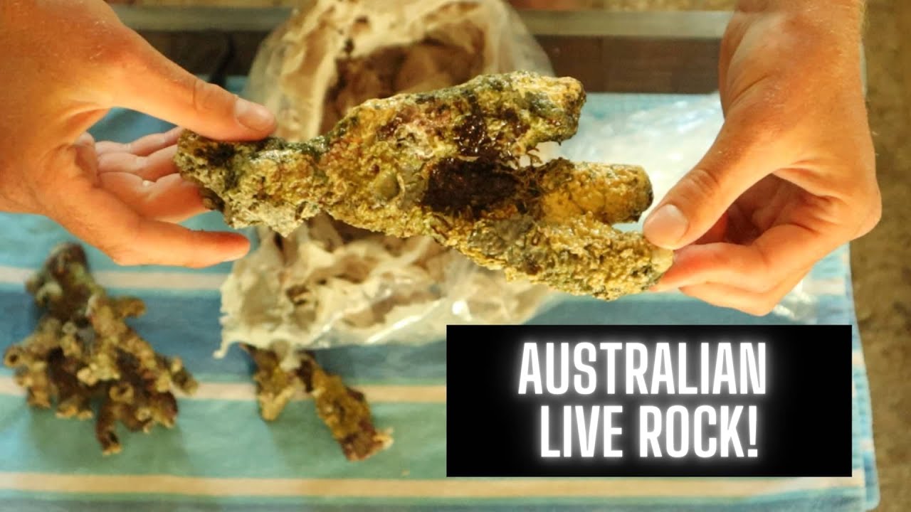 Unboxing Australian Live Rock!