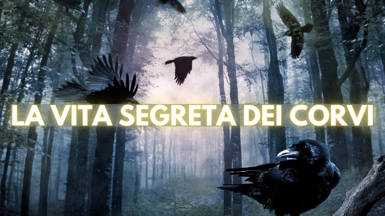 LA VITA SEGRETA DEI CORVI - Famiglia Suricame Animali