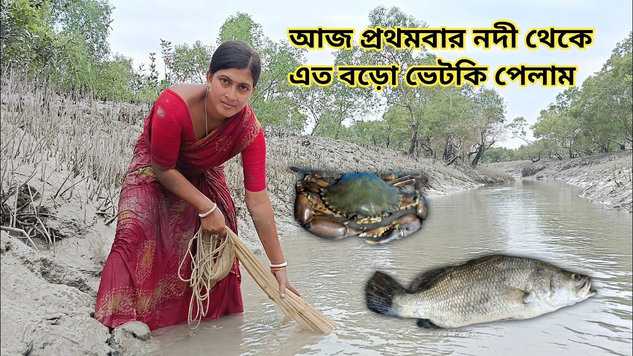 সুন্দরবন নদীতে প্রথমবার এত বড় ভেটকি মাছ পেলাম Nandita Sundarban life