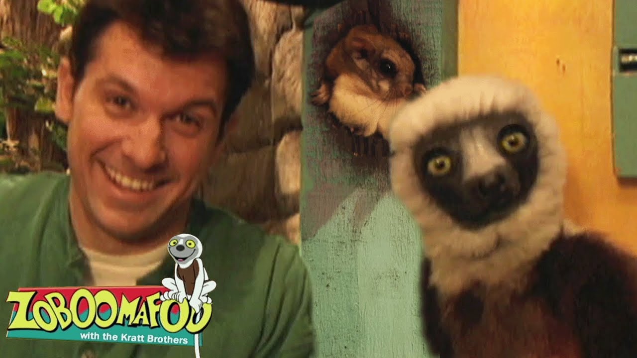 Quem está no buraco? | Zoboomafoo Português | Episódios Completos para Crianças