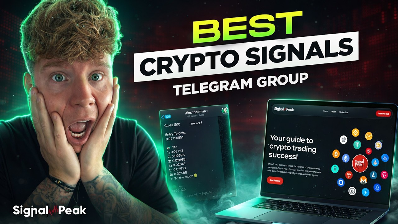 Alex Friedman Channel: Best Crypto Signals Telegram Group 2026?