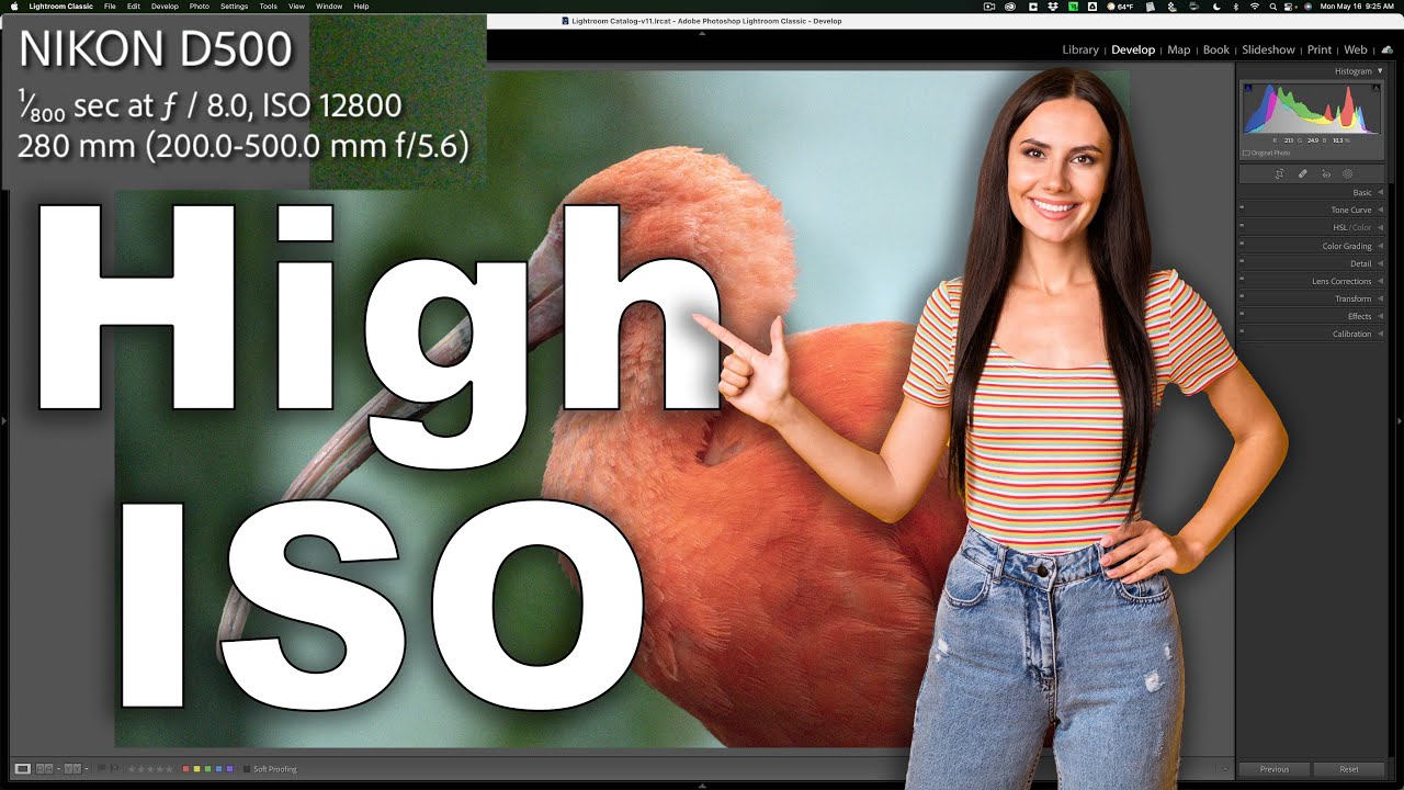 Processing High ISO Images Using ONLY Lightroom