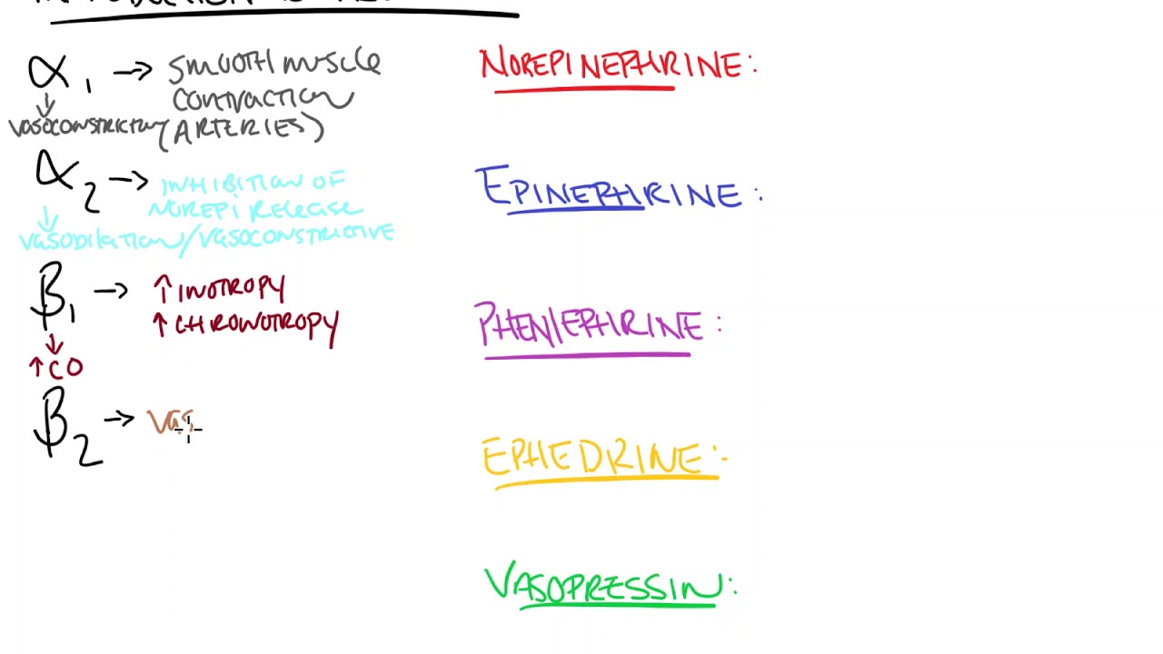 Introduction to Pressors