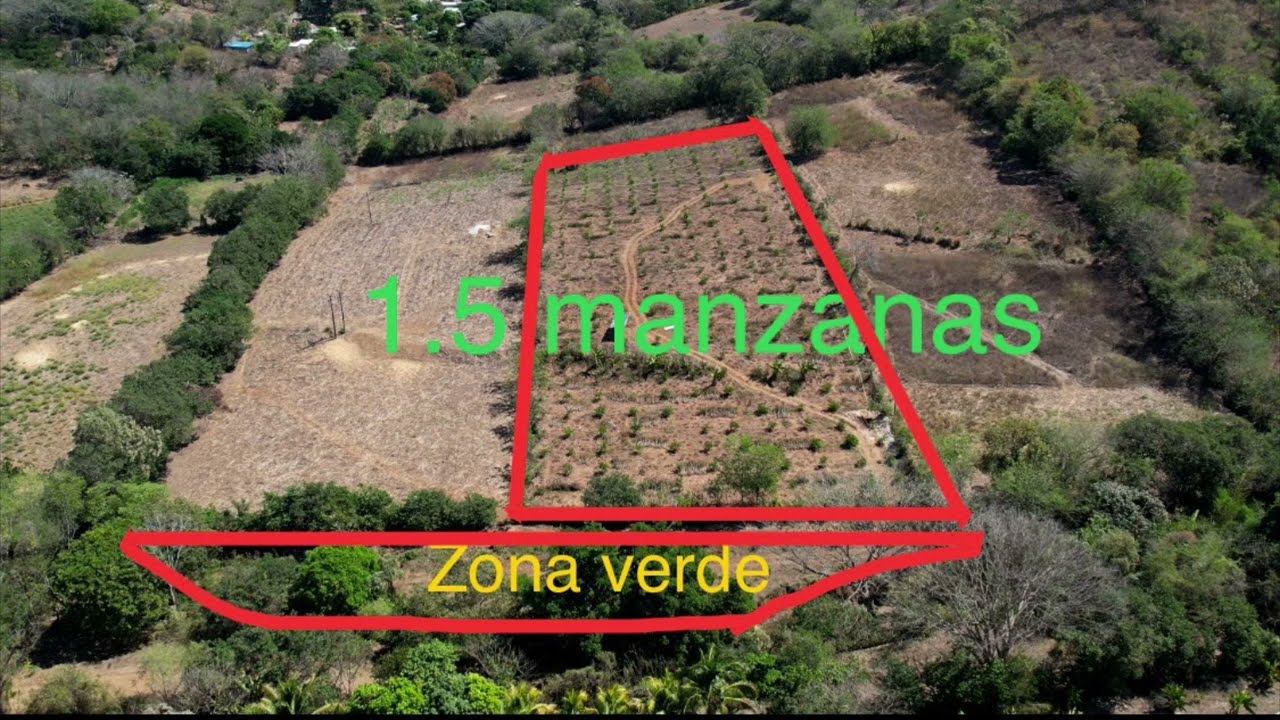 Manzana y media con agua y luz y una limonera en venta en Ciudad Arce, La Libertad