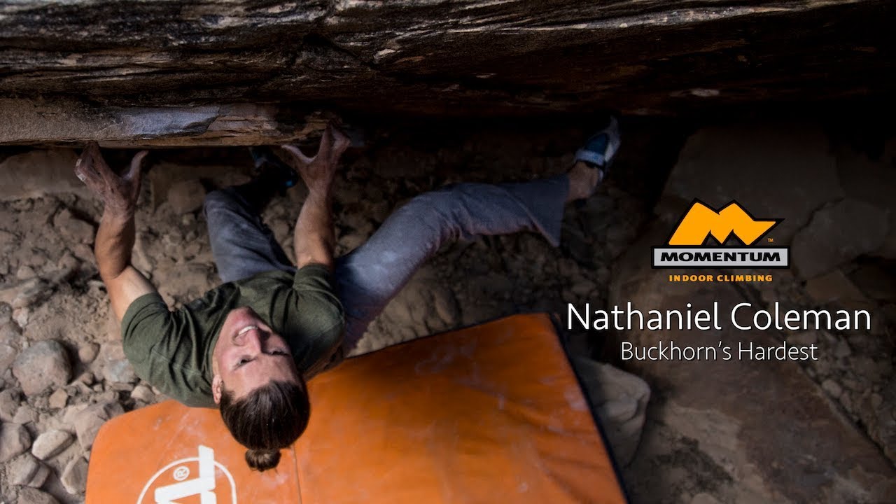 Nathaniel Coleman's New FA: 