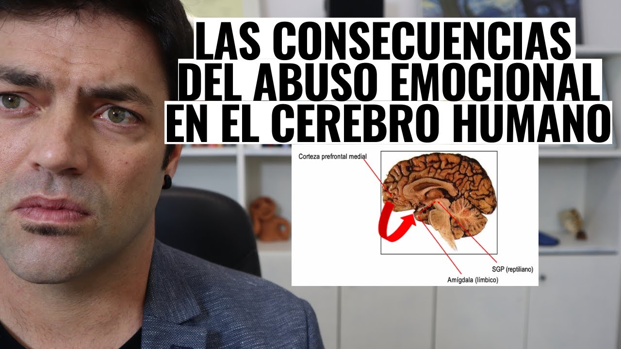 Las Consecuencias Del Abuso Emocional En El Cerebro Humano; Hiperactividad e Hipoactividad