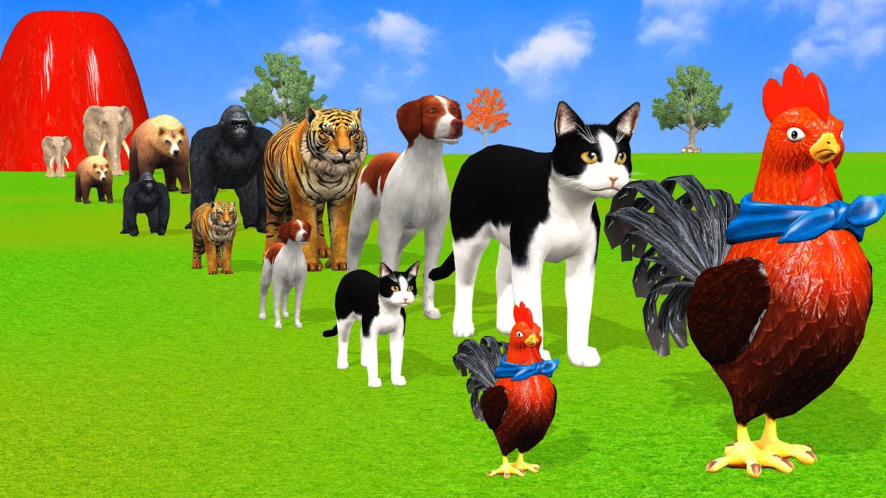 Long Slide Game with Cow Elephant Gorilla Hippopotamus Tiger 3d Animal Game Funny 3d Animals