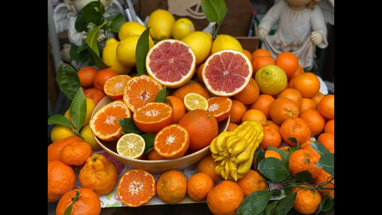 Немножко урожая собрала 🏡🍊🍊🍋