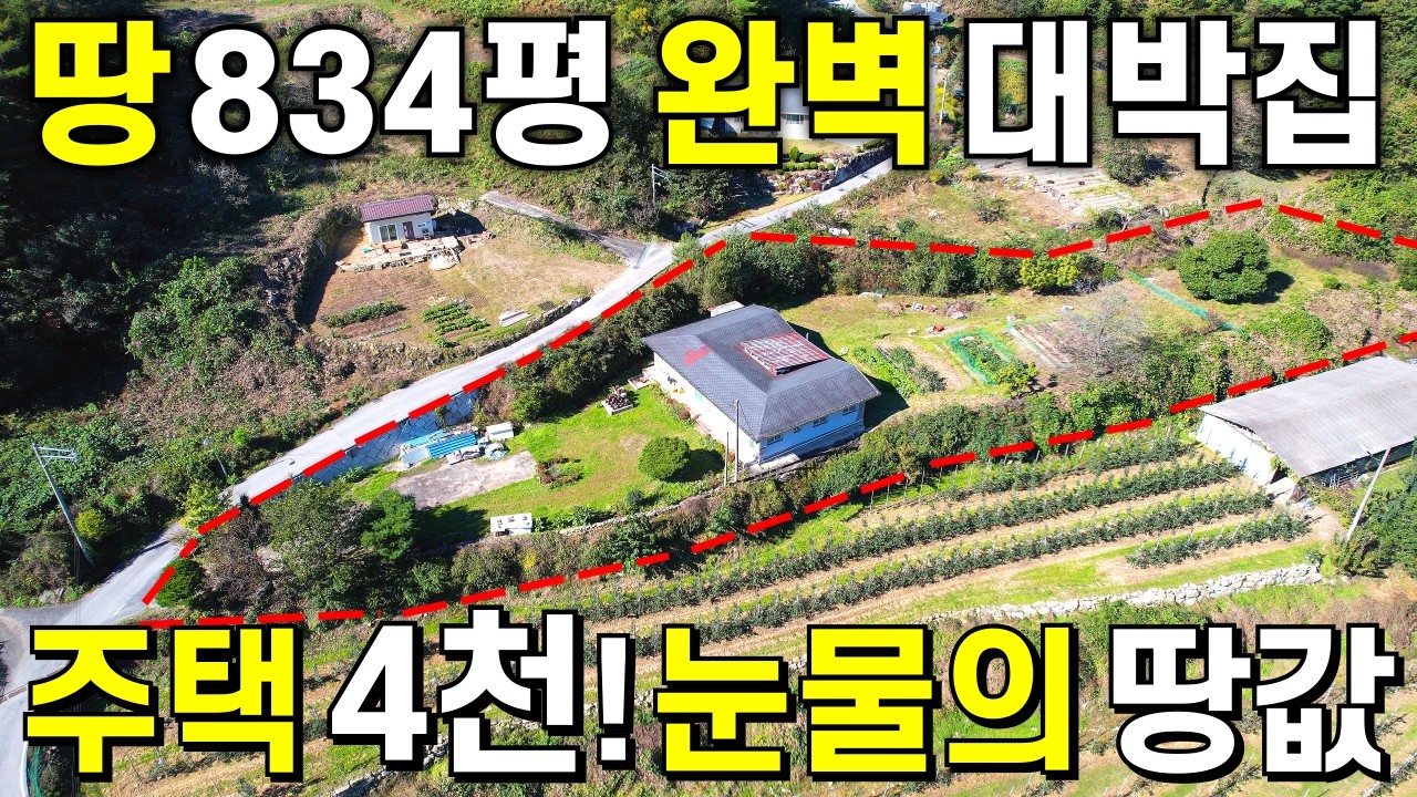 땅834평+완벽 대박집이 떳다!=주택 4,000만원~ 급매보다 저렴한 땅값! 몽땅~ 계곡물 철철 자연휴양림 속 나만의 정원