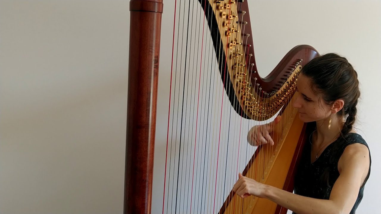 Music for isolated musicians, Franco Prinsloo (harpe) - Interprété par Loreleï Tochet
