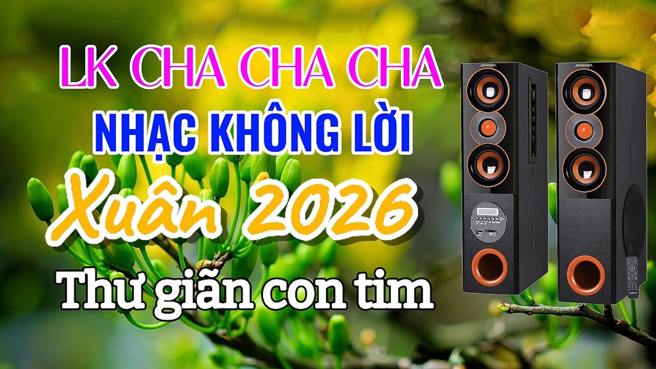 LK CHA CHA CHA Nhạc Hòa Tấu Không Lời Xuân 2026 Nhẹ Nhàng Đón Xuân