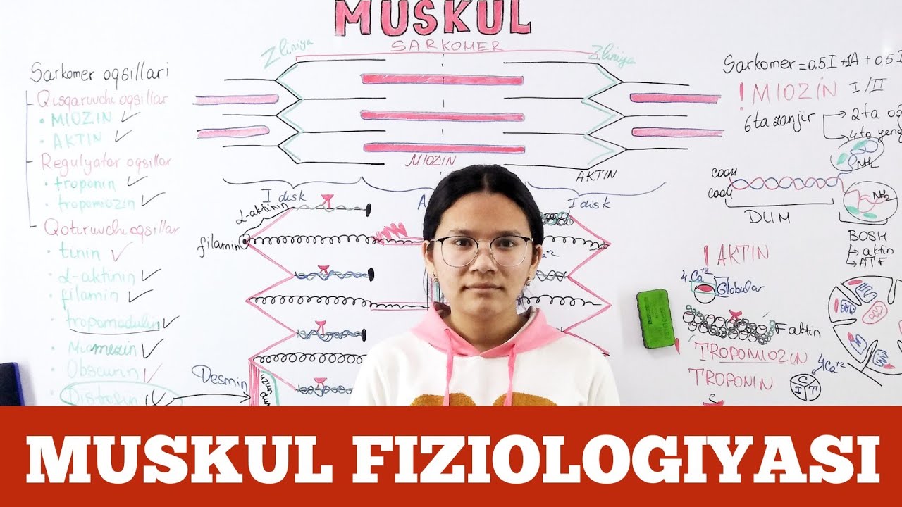 Muskul fizilogiyasiga kirish