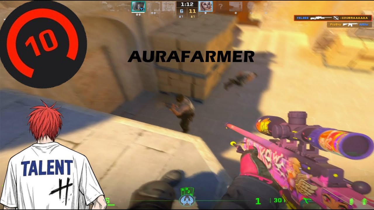 AURAFARMER67 | 3K Elo | 1280x960 | 800 dpi | 1.15 sens
