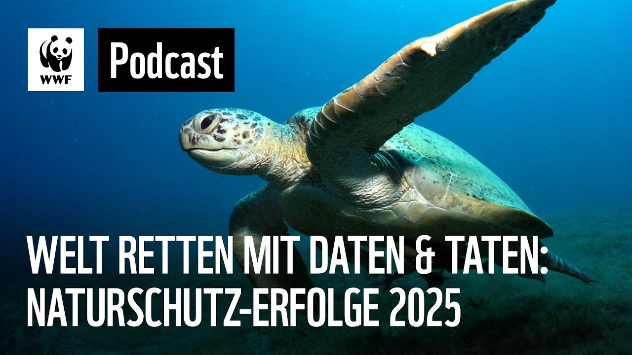 Welt retten mit Daten & Taten: Die größten Naturschutz-Erfolge 2025