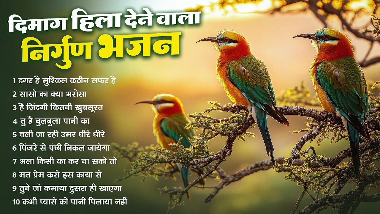 दिमाग हिला देने वाला निर्गुण भजन | Nonstop Nirgun Geet | Chetawani Bhajan 2026 | Nirgun Bhajan 2026