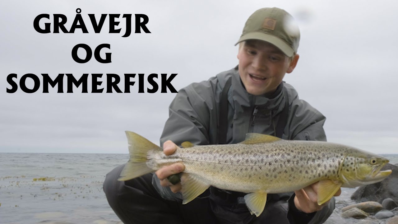 Havørredfiskeri - Gråvejr og Sommerfisk