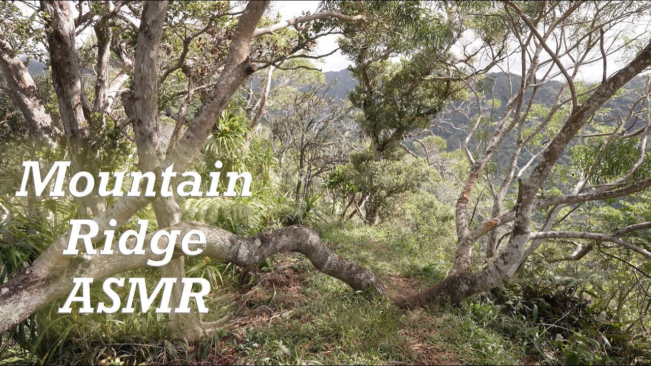 ASMR ʻAiea Ridge Trail, Oʻahu