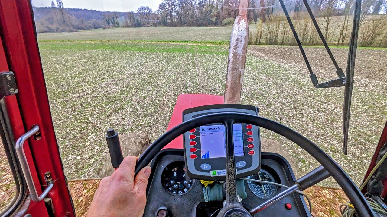 Engrais au tallage du blé, gérer en permanence les facteurs limitants