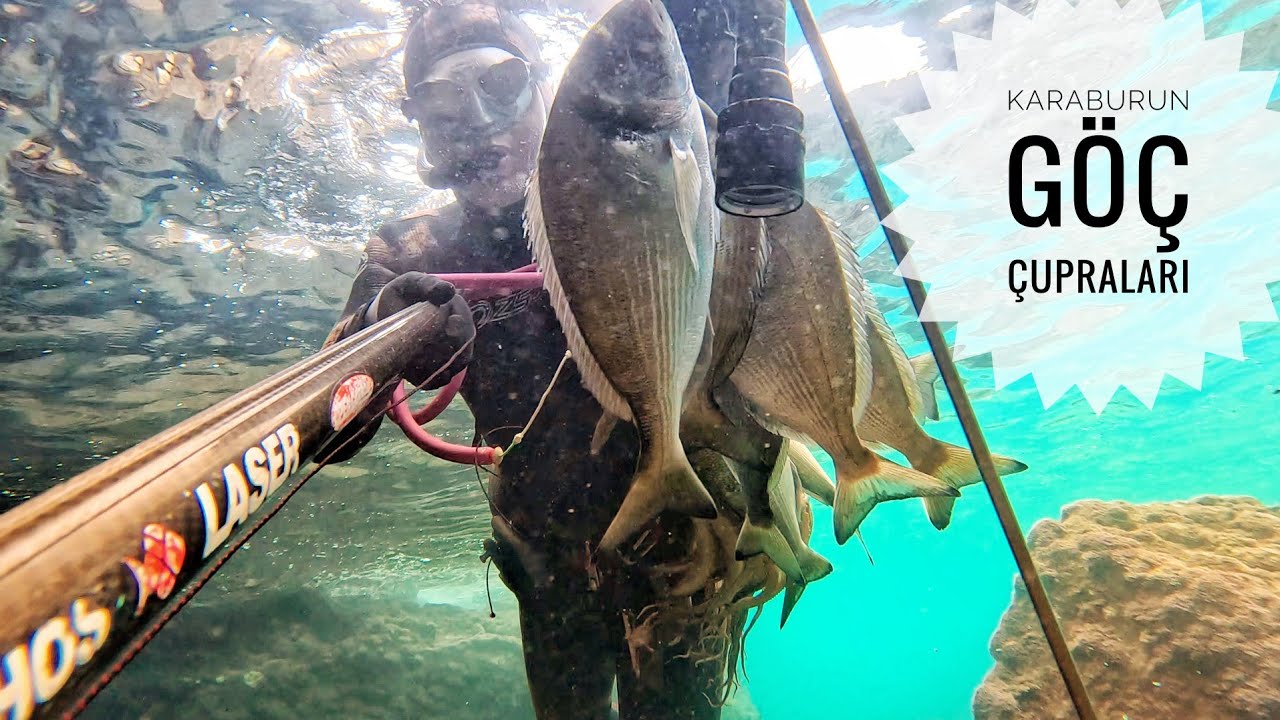 KARABURUN GÖÇ ÇUPRA AVI.TOPLAM 6.5 SAAT DALIŞ VE SONUÇ🐟🐟🐟🐟🐙🐙🐙🐙#orata #pulpo #spearfishing #fishing
