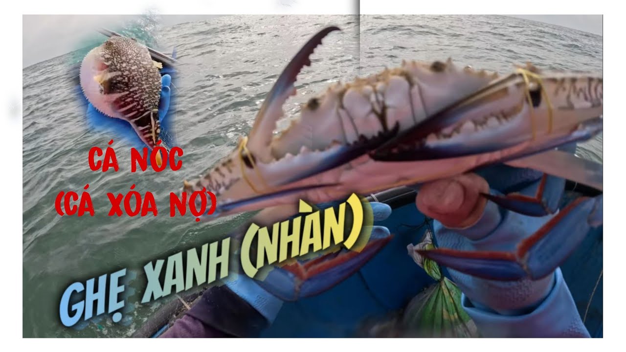 Hành Trình Đánh Bắt Ghẹ Cá//Cùng Ngư Dân//Biển Đồng Đền La Gi Bình Thuận