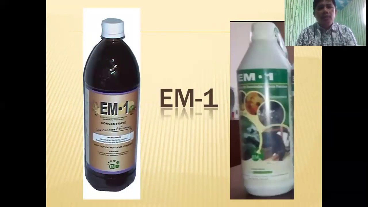 ЯПОНСКИЕ ТЕХНОЛОГИИ: ЧТО ТАКОЕ EM-1 и EMAS?
