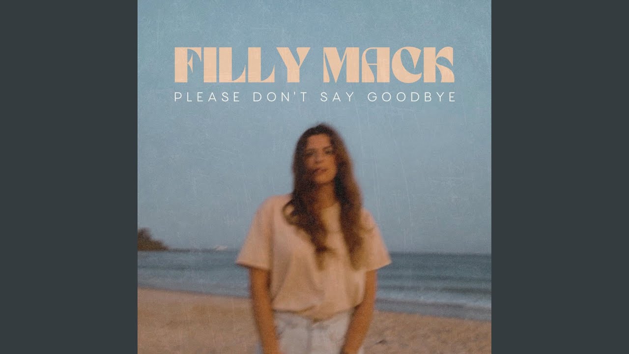 Please Don't Say Goodbye