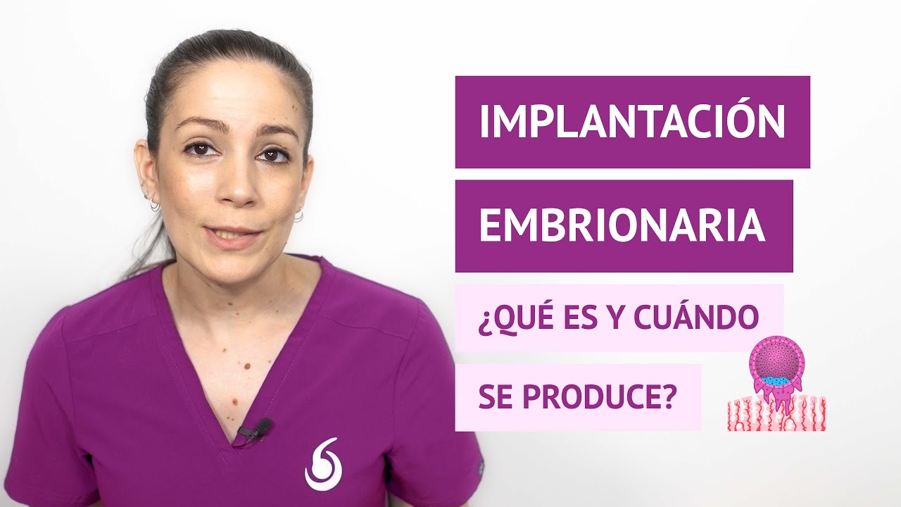 ¿Qué es la implantación del embrión y cuándo se produce?