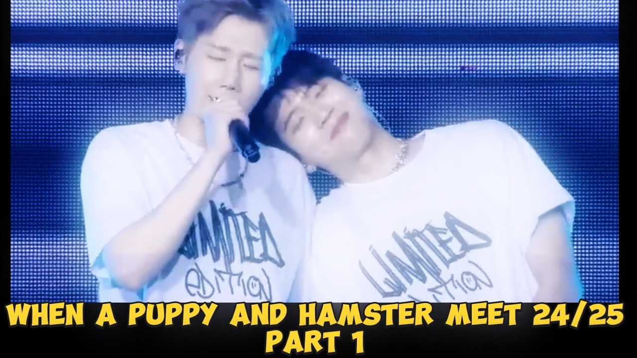 When a Puppy and Hamster meet  24/25 Part 1