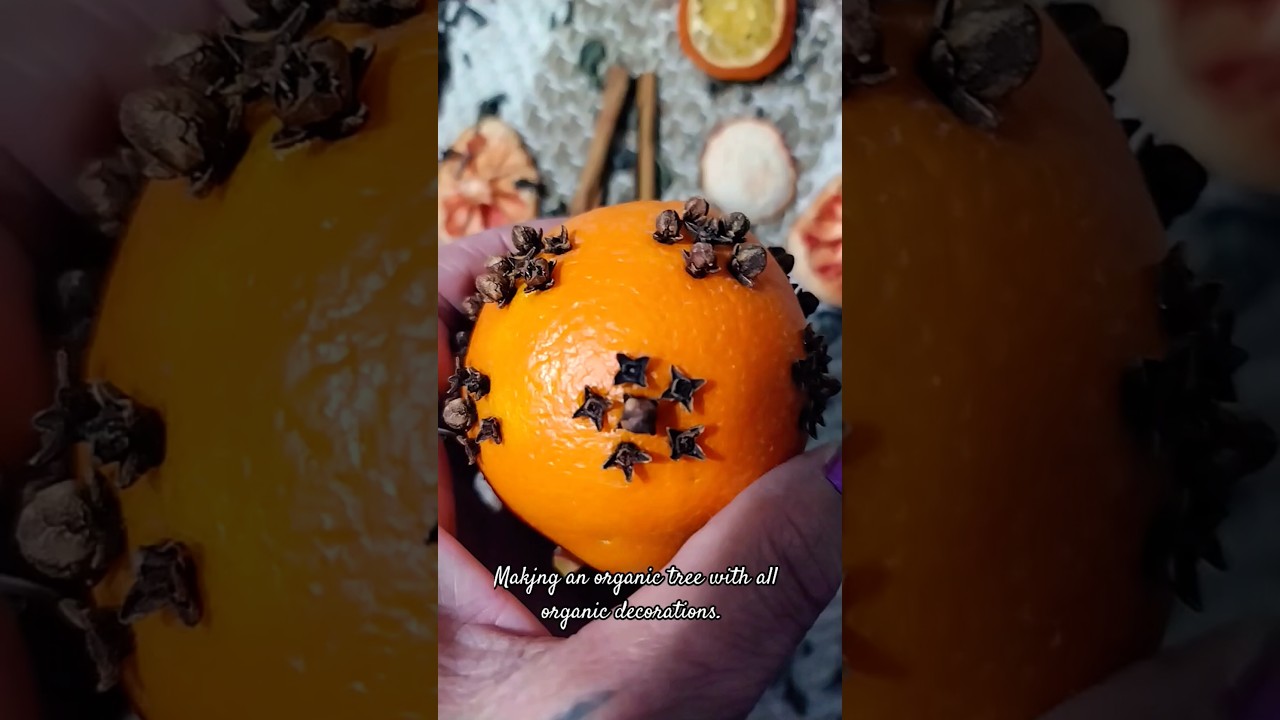 All Organic Version. #ornaments #treedecoration #citrusandclove #cinnamonandpine #berrysandanise