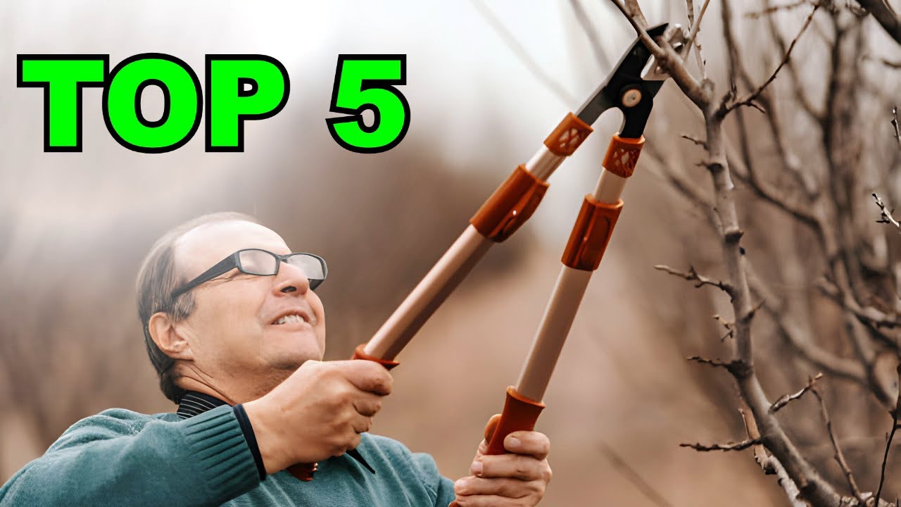 coupe branche : TOP 5 des meilleurs coupes branche à acheter en 2024 !