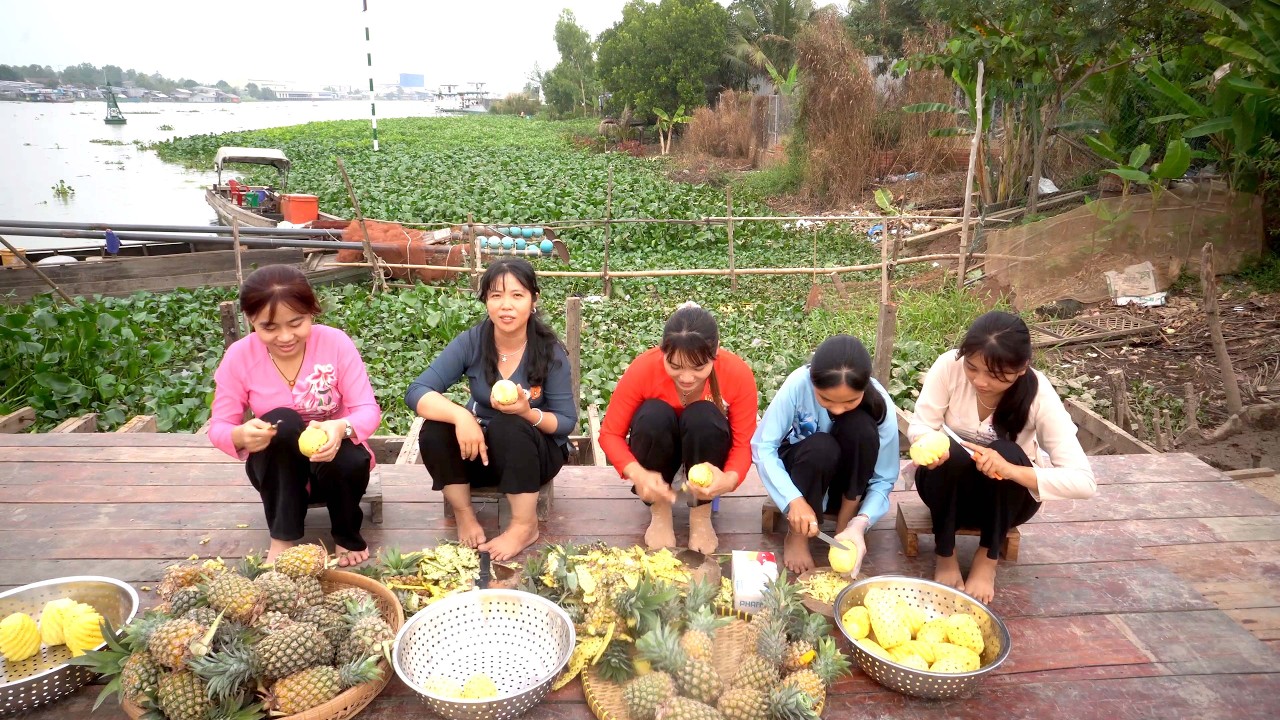 Làm Mứt Khóm bán Dịp Tết và Đặt Chà Cá Trên Sông