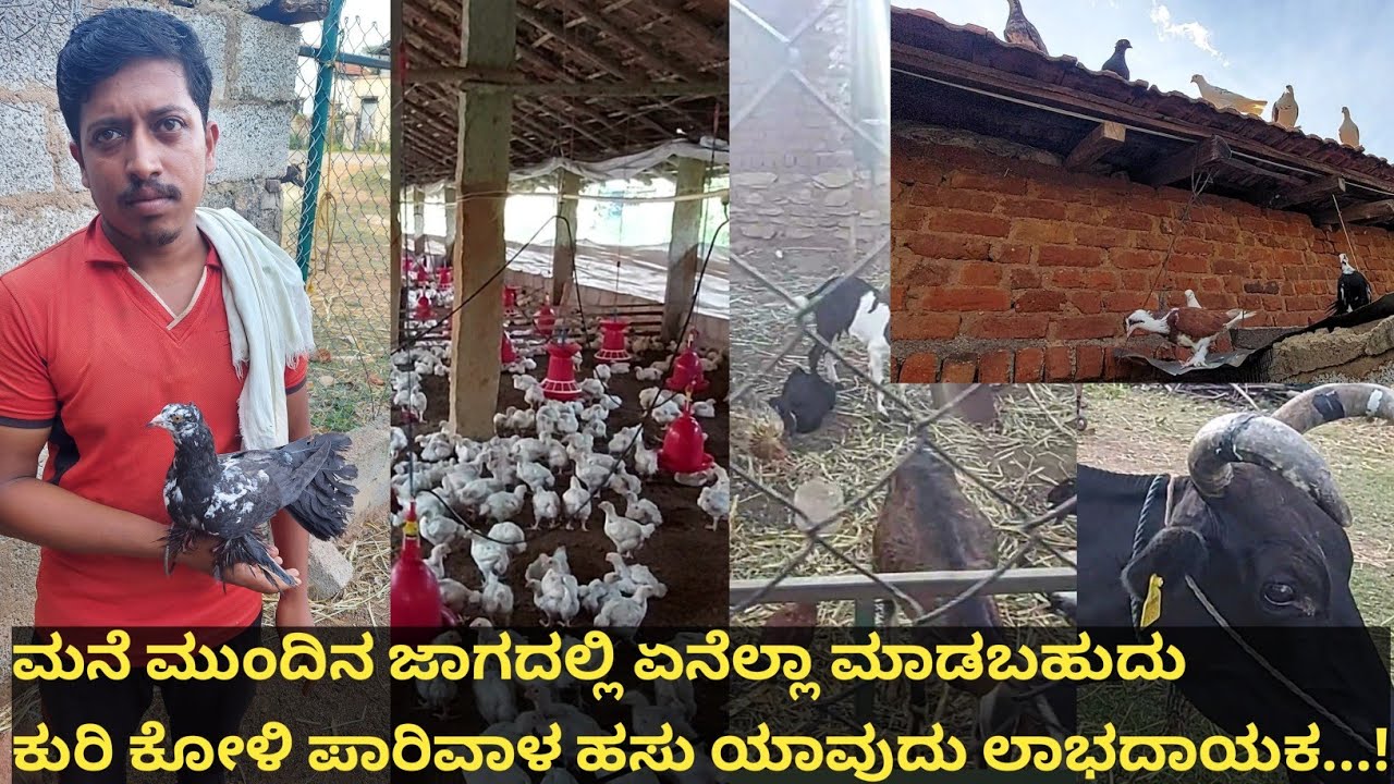 ಹಳ್ಳಿಯಲ್ಲಿದ್ದರೆ ಏನೆಲ್ಲ ಮಾಡಬಹುದು,ಸಿಟಿಗೆ  ಕೆಲಸಕ್ಕೆ ಅಂತ ಹೋದರೆ ಒಂದೇ ಕೆಲಸ ಒಂದೇ ಸಂಬಳ..ಮನೆ ಮುಂದಿನ ಜಾಗ...!