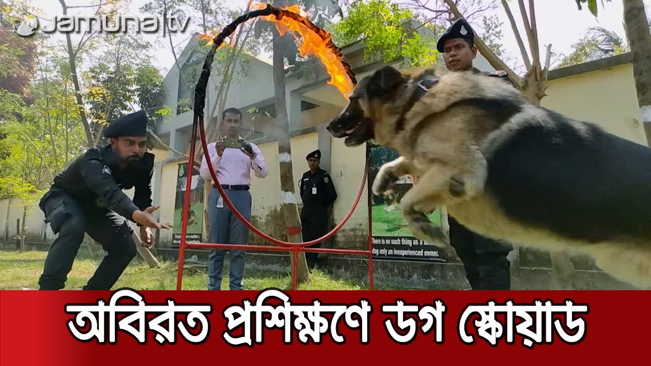 প্রথমবারের মতো র‍্যাবের ডগ স্কোয়াড ক্যাম্পের ভেতরের চিত্র | Jamuna TV Exclusive