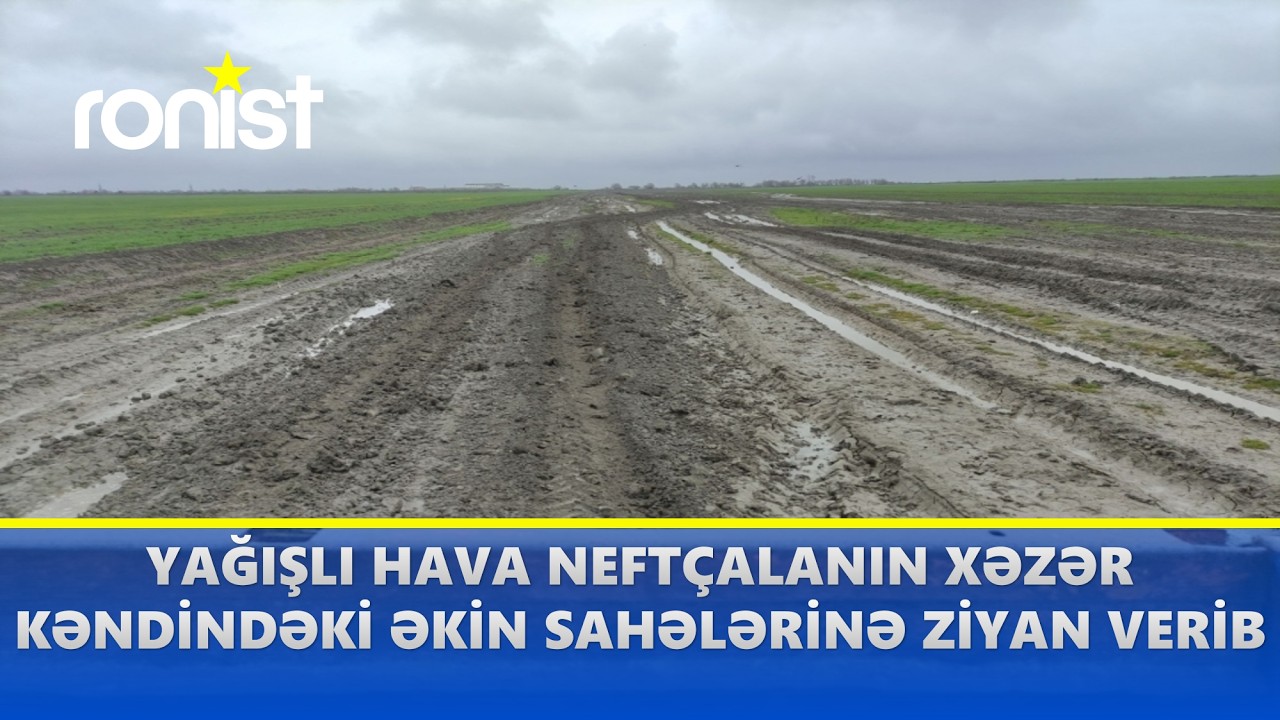 Onlarla fermerin əkin sahəsini su basıb (26.03.2024)