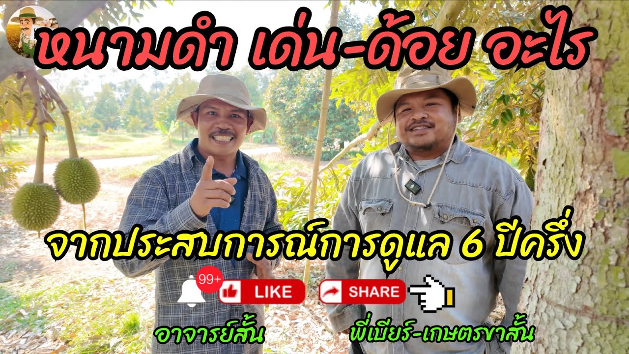 หนามดำ เด่น-ด้อย อะไร!? จากปากพี่เบียร์ ผู้มีประสบการณ์ดูแล เกิน 6 ปี ทำผลผลิตมา 3 รอบ | อาจารย์สั้น