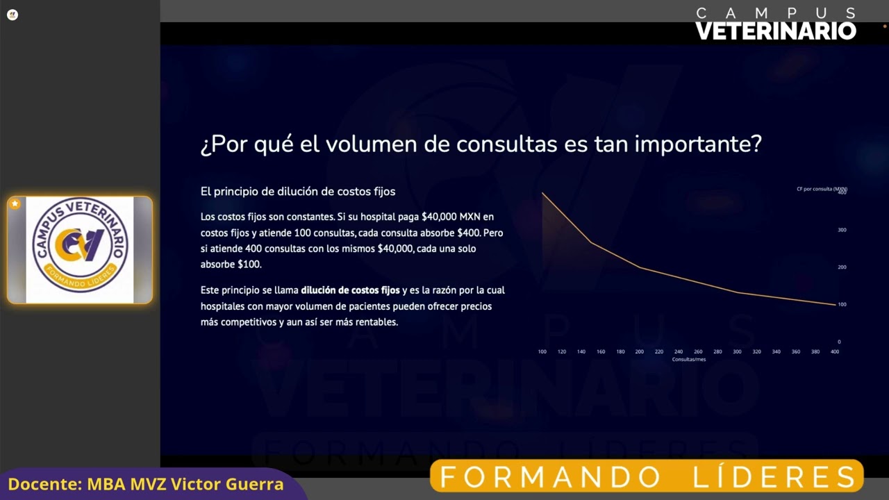 Copia de costos vet