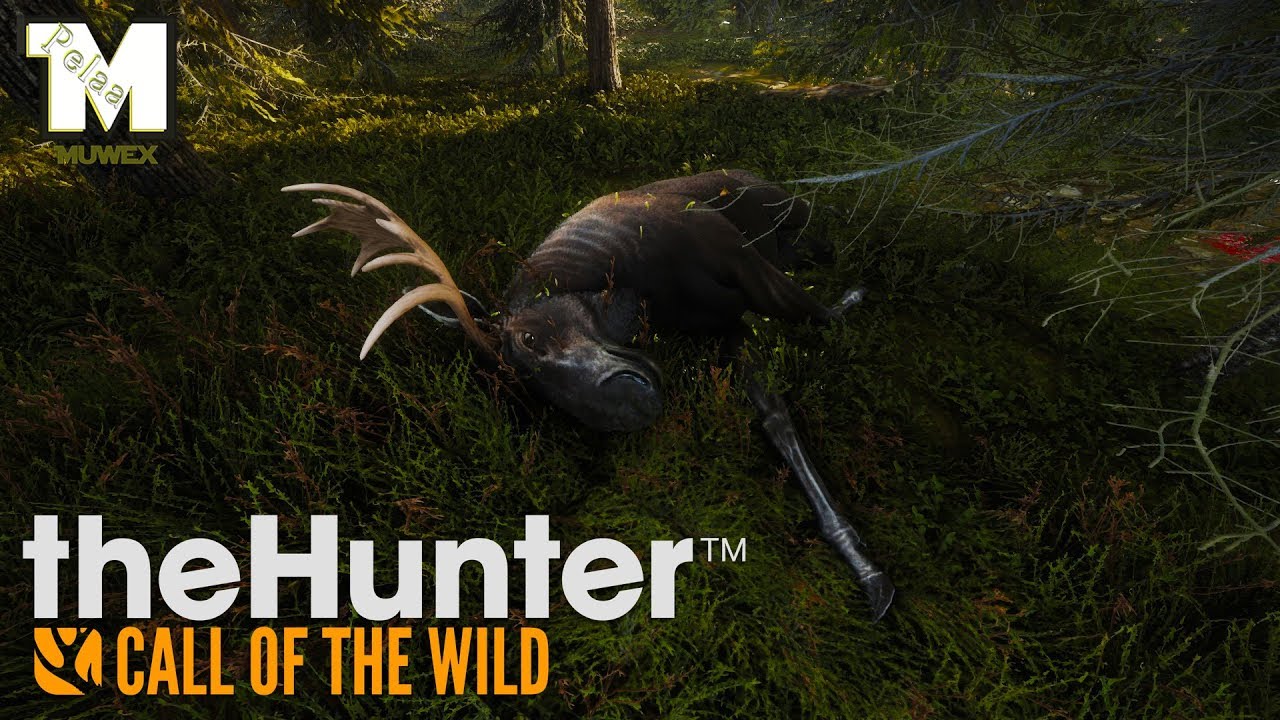 Hirvenmets&auml;styst&auml; - theHunter Call of The Wild&trade;