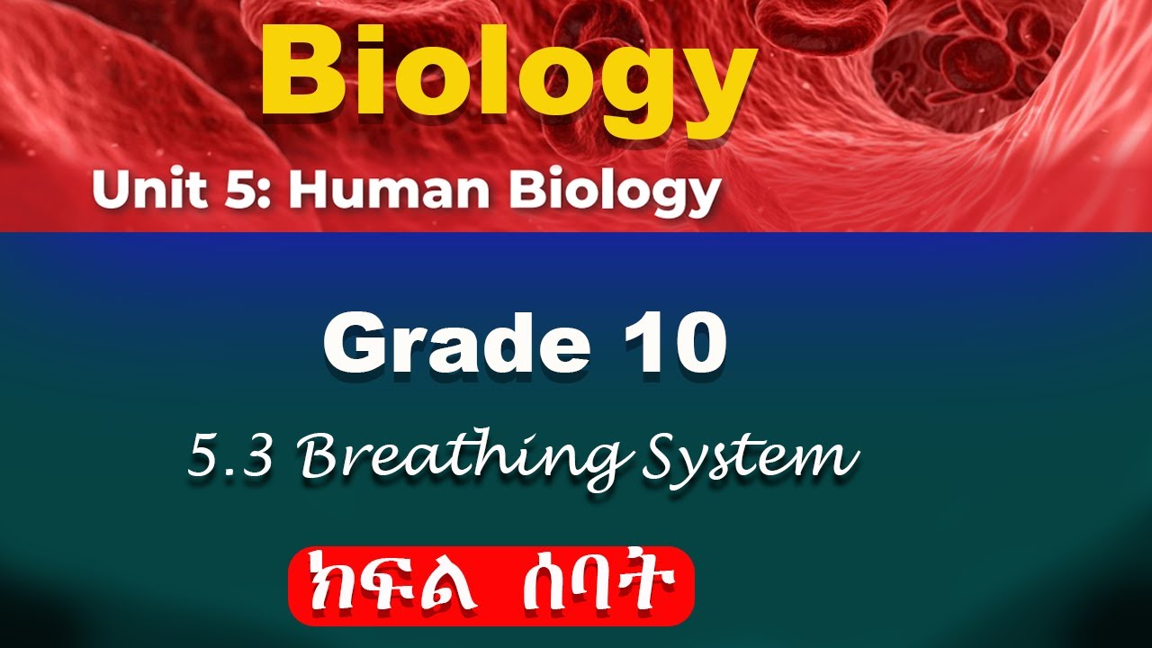 Grade 10 biology unit 5 part 7 | Human biology | Breathing system