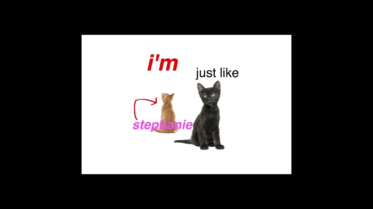 stephanie 🩷😼🎸