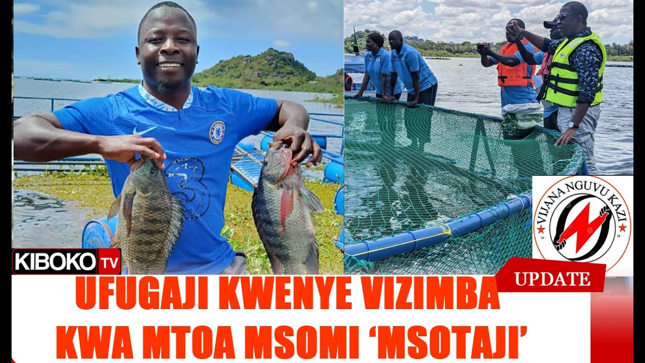 UFUGAJI SAMAKI KWENYE VIZIMBA ULIVYOMPA MAISHA MSOMI ALIYESOTA