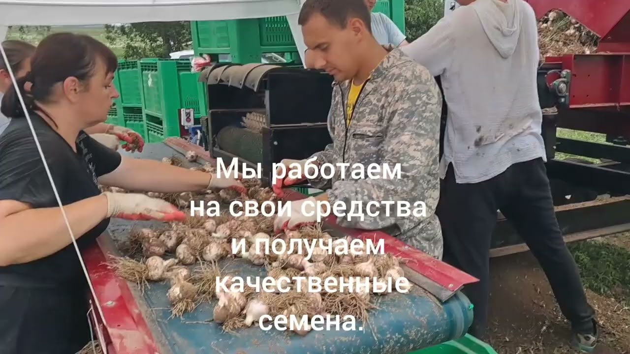 Мы работаем на результат. www.garliccompany.ru                       +79207827373     