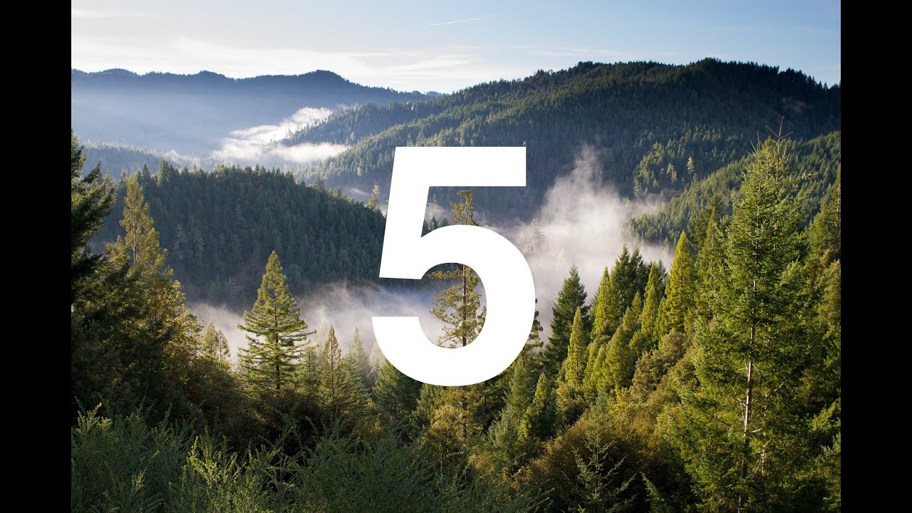 5 Easy Tips for Meaningful Hitbodedut and Jewish Meditation, What Should I say?