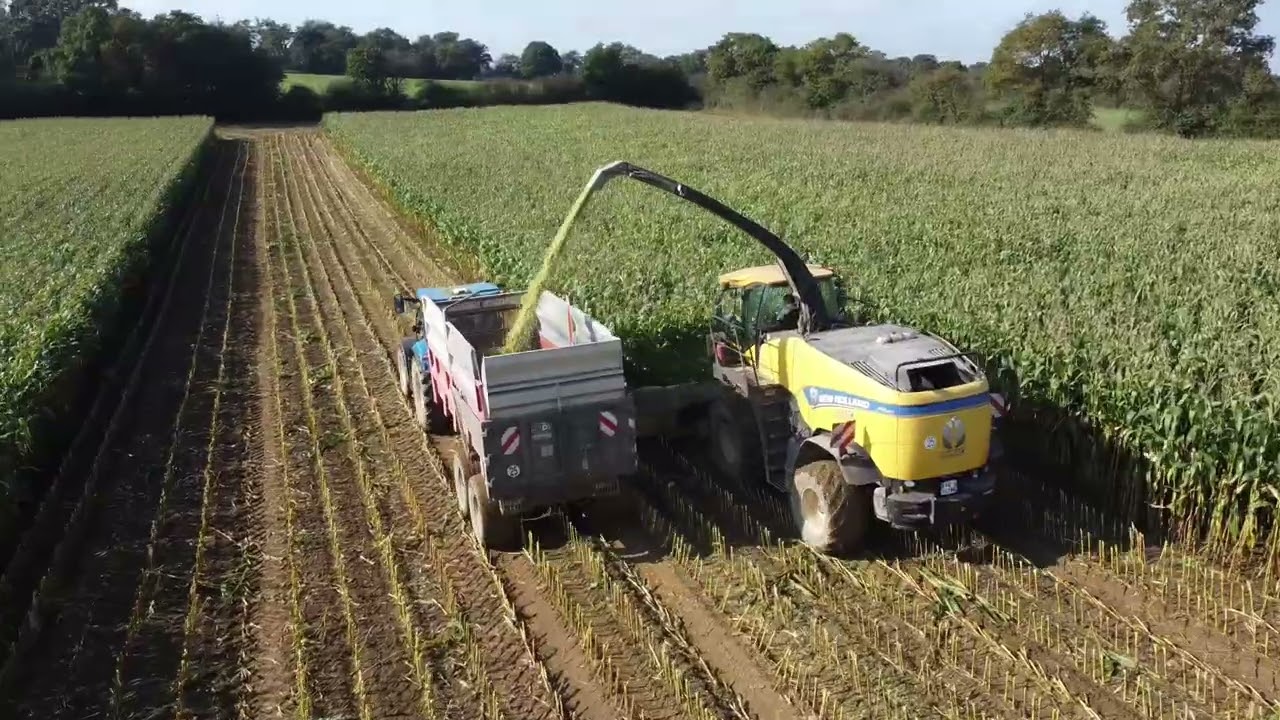 ENSILAGE DE MAIS 2024 🌽