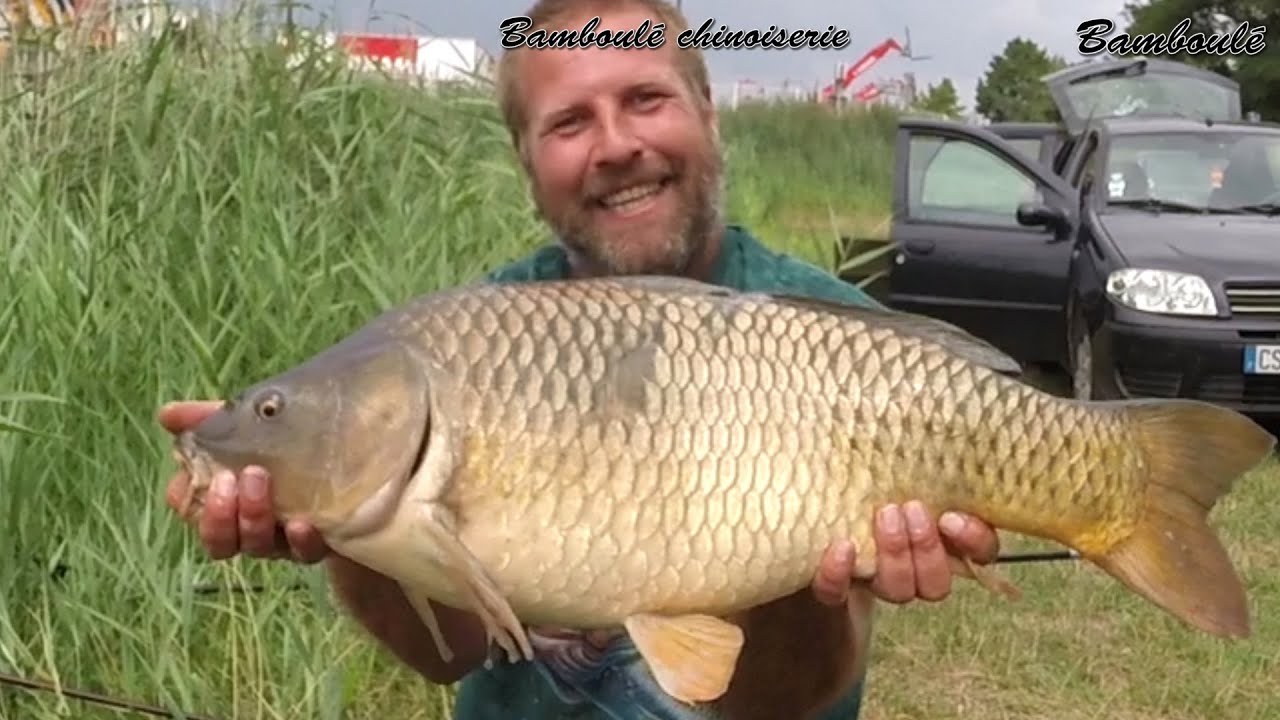 Pêche carpe avec canne chinoise 5m40 , bamboulé