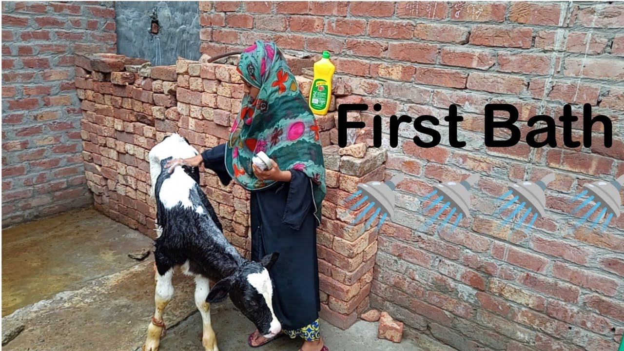 Day 8 Say MASHALLAH