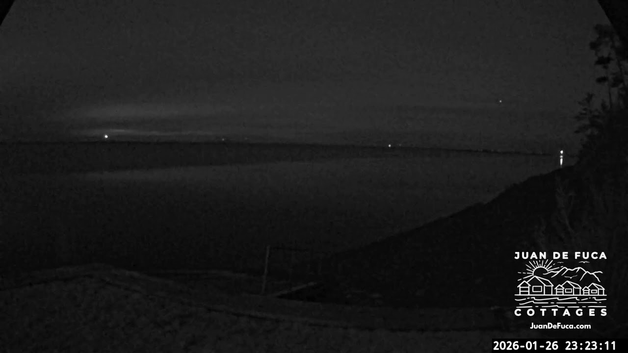 🌊 LIVE: Dungeness Bay EAST- Serene Coastal Views & Wildlife 🦅🐟